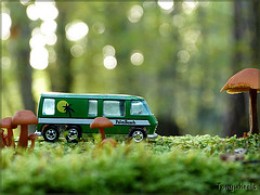Motorhome in mushroom forest, author unknown