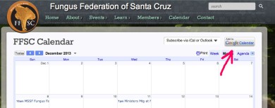 FFSC Calendar Page