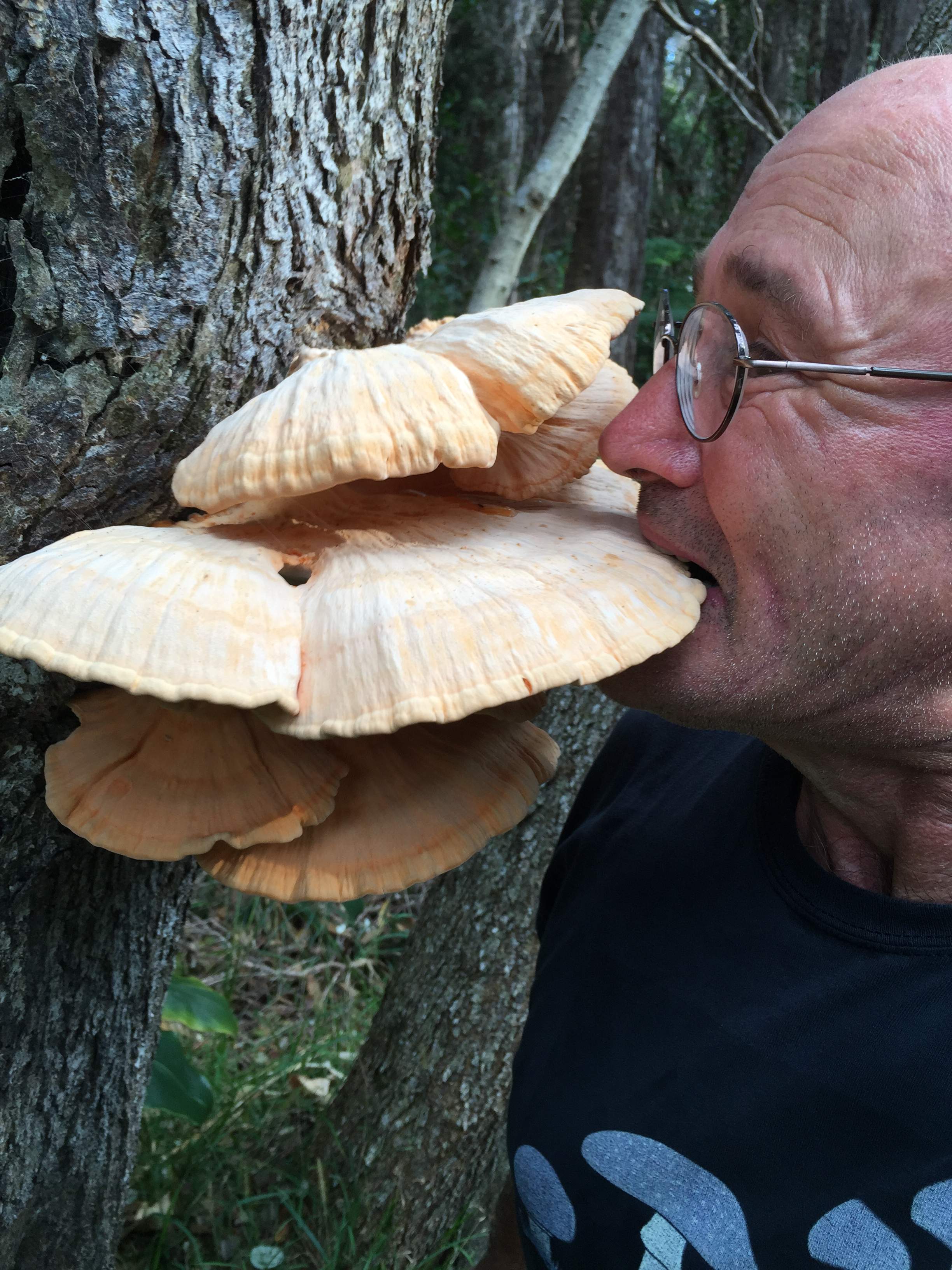 Hugh doesn't eat mushrooms