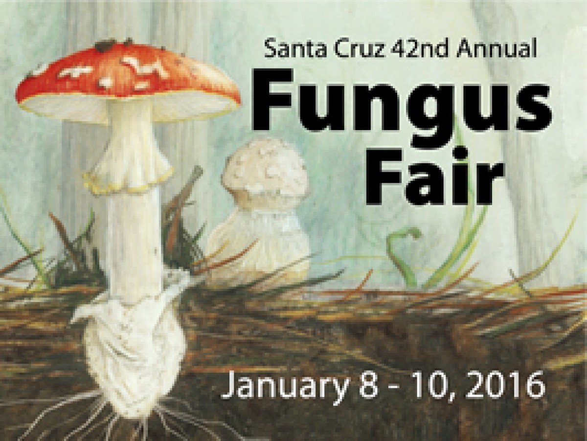 Fungus Fair Fungus Federation of Santa Cruz