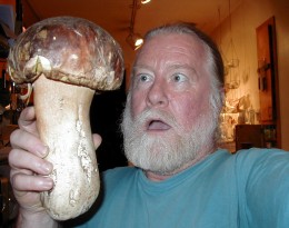 Bolete and admiring fungiphile.  Archival photo-Photographer?