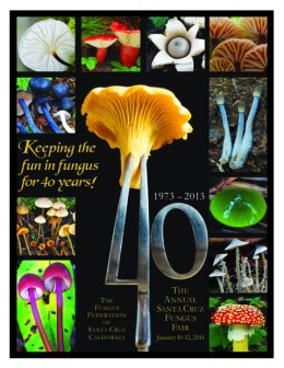 Fungus Fair 40th Anniversary Poster