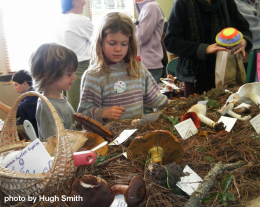 Kids art activities at Fungus Fair