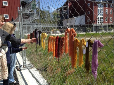 Mushroom-dyed yarn by D. Johnson