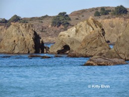 Mendocino Coast by Kitty Elvin