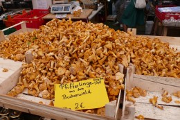 Chantrelles in the Viktualien market in Munich