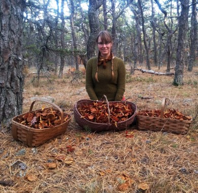 Alissa Allen with baskets of dye mushrooms