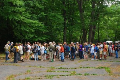 Citizen Science