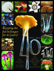 40th Fungus Fair