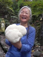 Dr. Cornelia Cho's Lion Mane