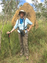 Debbie and the Termites