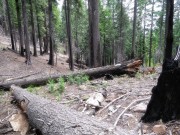 Eldorado National Forest