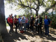 Group of mushroomers