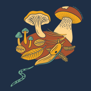 Slug n' Shrooms