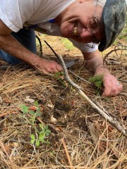 Richard Rammer finds his morels