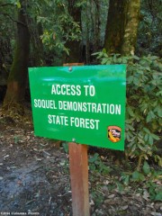 Soquel Demo Foray