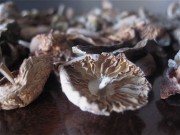 Dried mushrooms