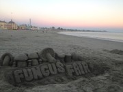 Fungus Fair Sand Sculpture