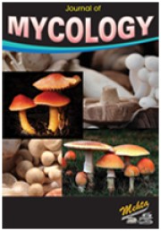 Image of Journal of Mycology cover. Issue not in collection