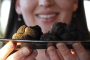 Napa Annual Truffle Festival