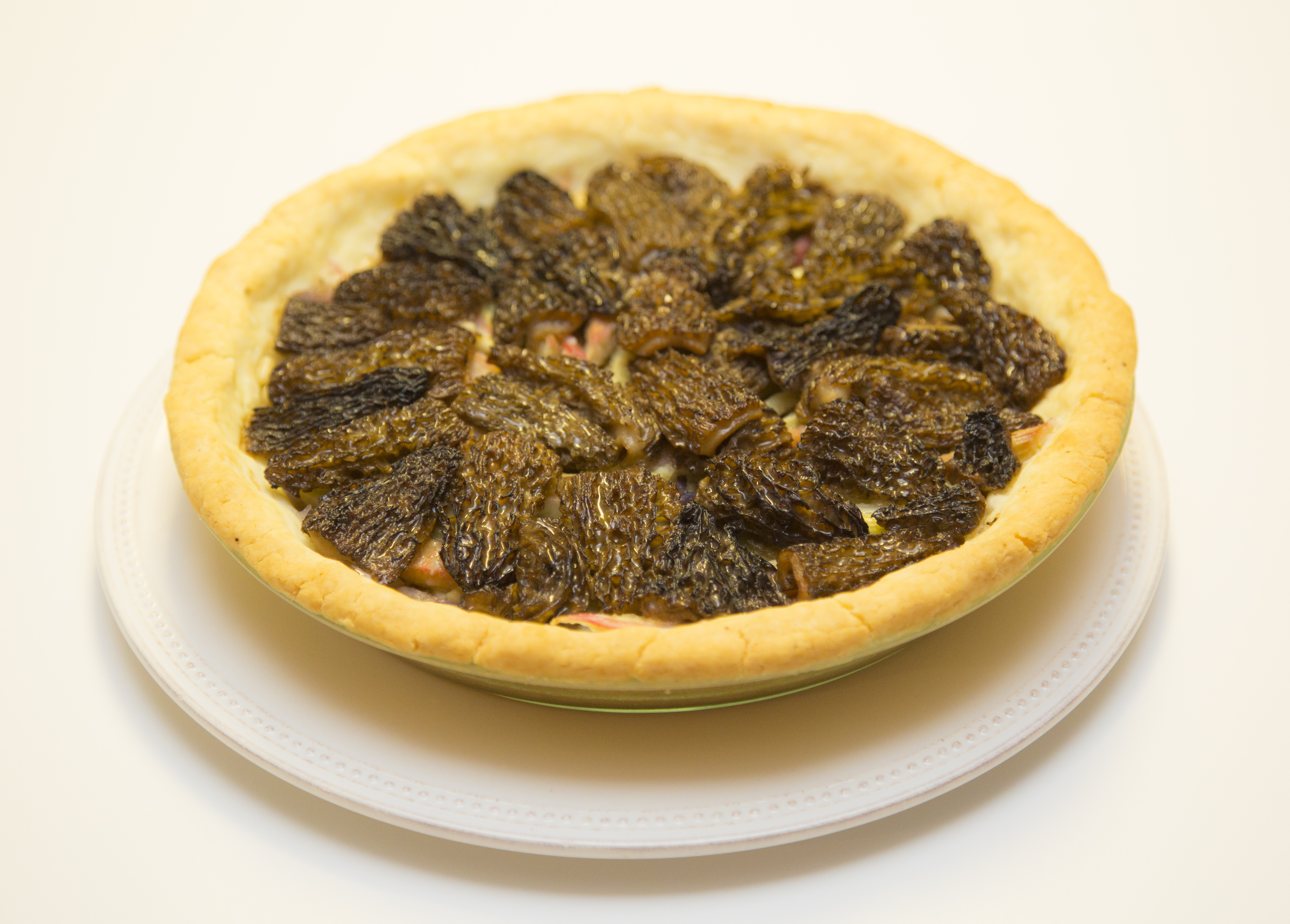 Morel Rhubarb pie